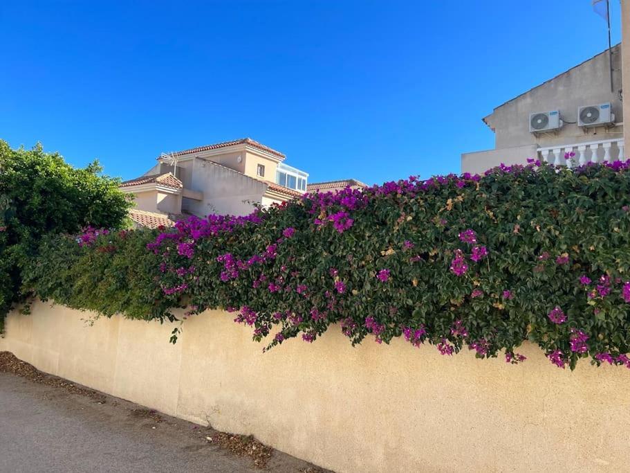 Ferienwohnung Club Salino 18 Torrevieja Exterior foto