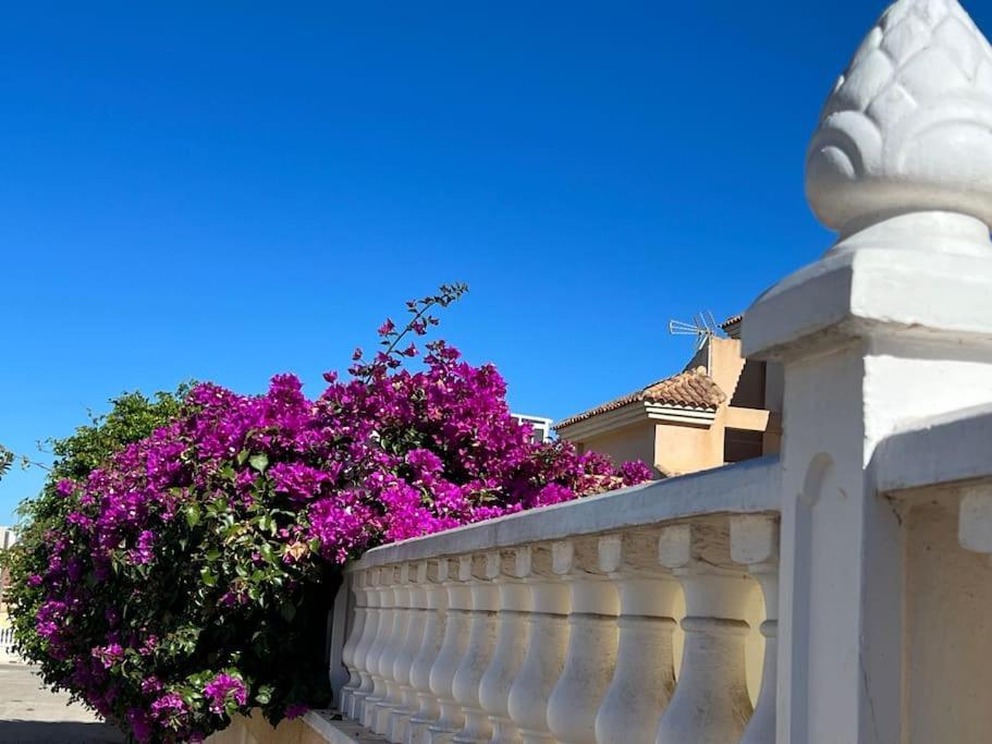Ferienwohnung Club Salino 18 Torrevieja Exterior foto